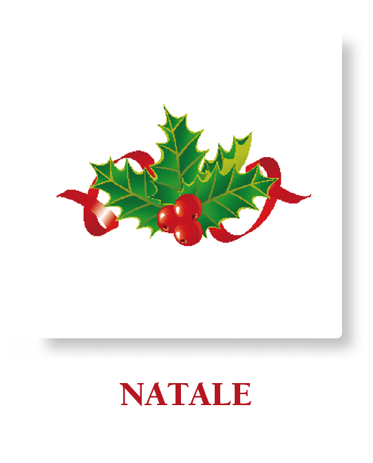 Bottone NATALE promo